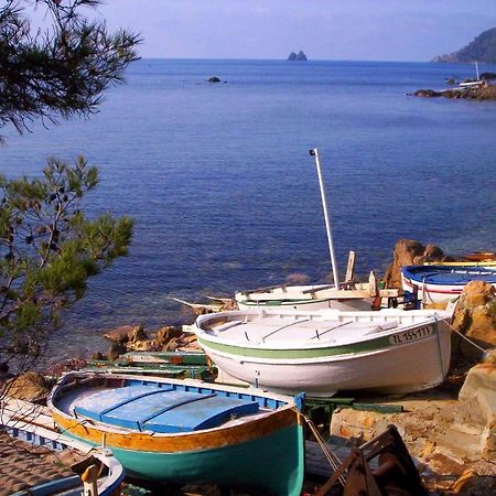 "L'Hippocampe", Climatise, 60 M2 , 2 Chambres, Tres Calme, Plage Des Sablettes Et Commerces A 3 Minutes A Pied, Wifi, Parking Gratuit, Lit King Size ラ・セーヌ・シュル・メール エクステリア 写真