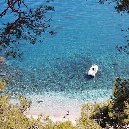 "L'Hippocampe", Climatise, 60 M2 , 2 Chambres, Tres Calme, Plage Des Sablettes Et Commerces A 3 Minutes A Pied, Wifi, Parking Gratuit, Lit King Size ラ・セーヌ・シュル・メール エクステリア 写真