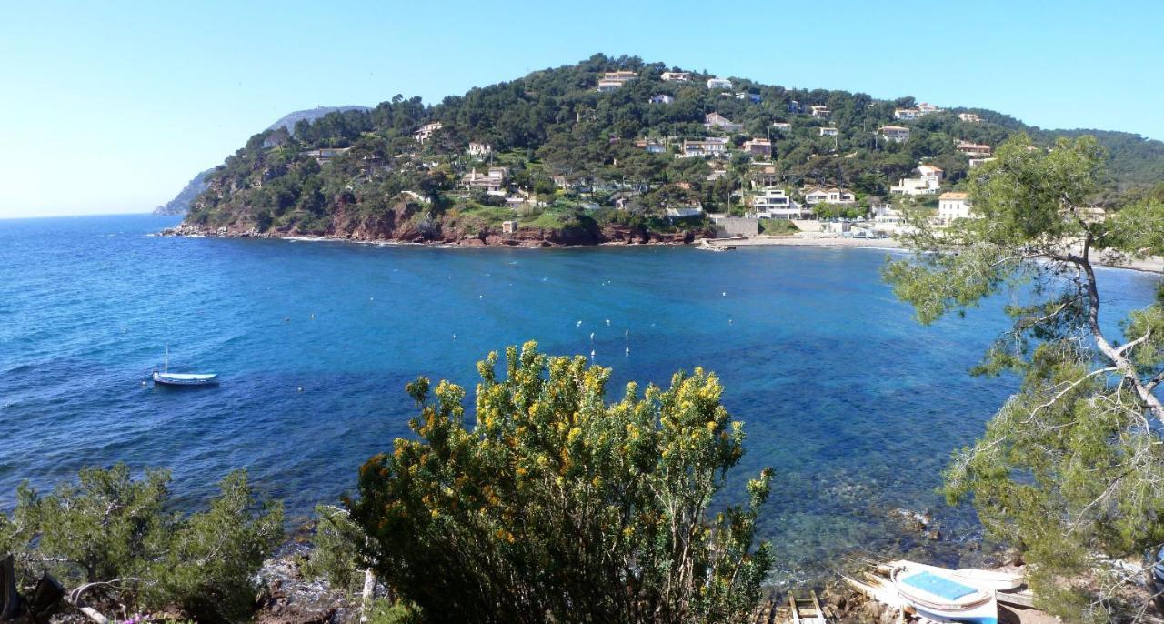"L'Hippocampe", Climatise, 60 M2 , 2 Chambres, Tres Calme, Plage Des Sablettes Et Commerces A 3 Minutes A Pied, Wifi, Parking Gratuit, Lit King Size ラ・セーヌ・シュル・メール エクステリア 写真