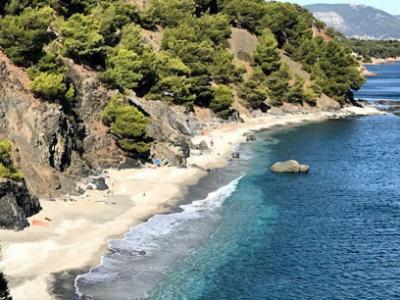 "L'Hippocampe", Climatise, 60 M2 , 2 Chambres, Tres Calme, Plage Des Sablettes Et Commerces A 3 Minutes A Pied, Wifi, Parking Gratuit, Lit King Size ラ・セーヌ・シュル・メール エクステリア 写真