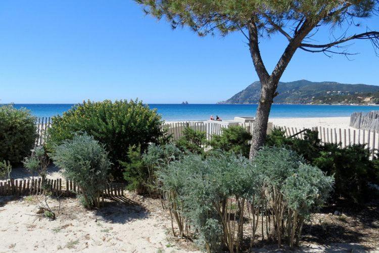 "L'Hippocampe", Climatise, 60 M2 , 2 Chambres, Tres Calme, Plage Des Sablettes Et Commerces A 3 Minutes A Pied, Wifi, Parking Gratuit, Lit King Size ラ・セーヌ・シュル・メール エクステリア 写真