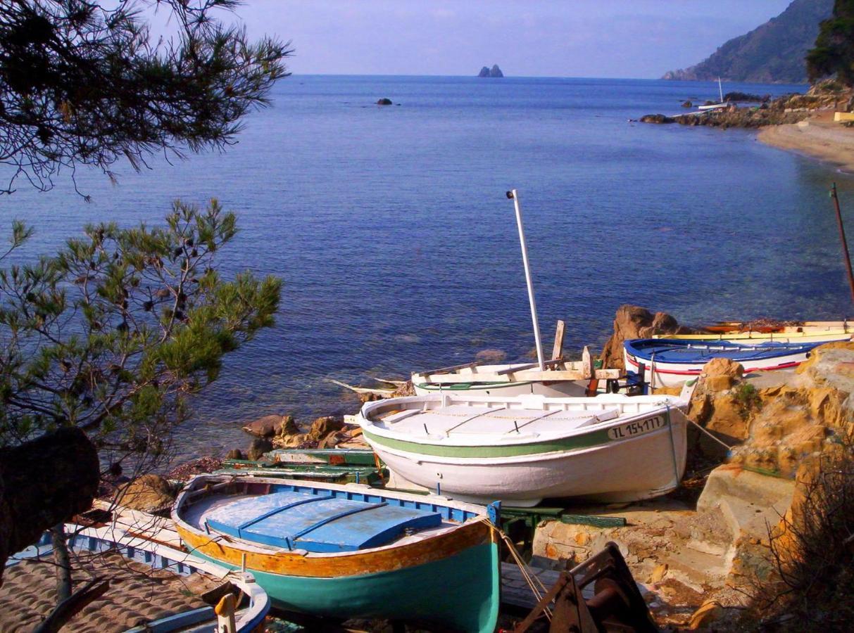"L'Hippocampe", Climatise, 60 M2 , 2 Chambres, Tres Calme, Plage Des Sablettes Et Commerces A 3 Minutes A Pied, Wifi, Parking Gratuit, Lit King Size ラ・セーヌ・シュル・メール エクステリア 写真