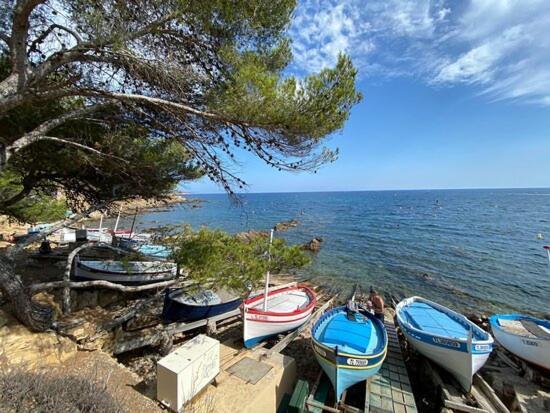 "L'Hippocampe", Climatise, 60 M2 , 2 Chambres, Tres Calme, Plage Des Sablettes Et Commerces A 3 Minutes A Pied, Wifi, Parking Gratuit, Lit King Size ラ・セーヌ・シュル・メール エクステリア 写真
