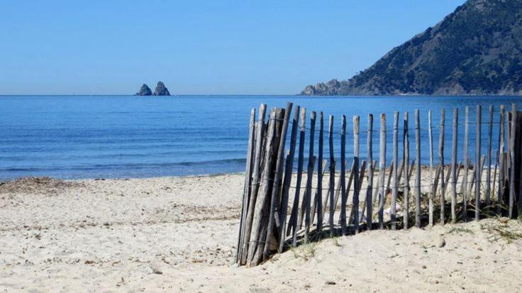"L'Hippocampe", Climatise, 60 M2 , 2 Chambres, Tres Calme, Plage Des Sablettes Et Commerces A 3 Minutes A Pied, Wifi, Parking Gratuit, Lit King Size ラ・セーヌ・シュル・メール エクステリア 写真
